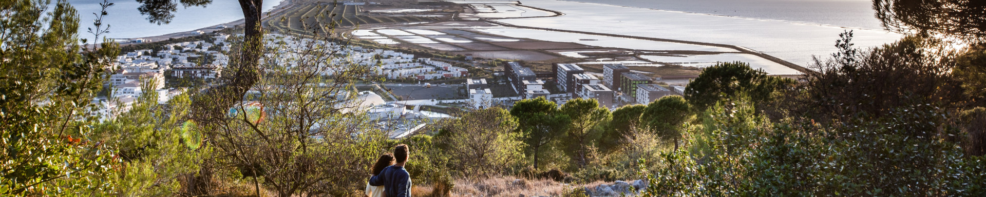 Des expériences à vivre en automne à Sète