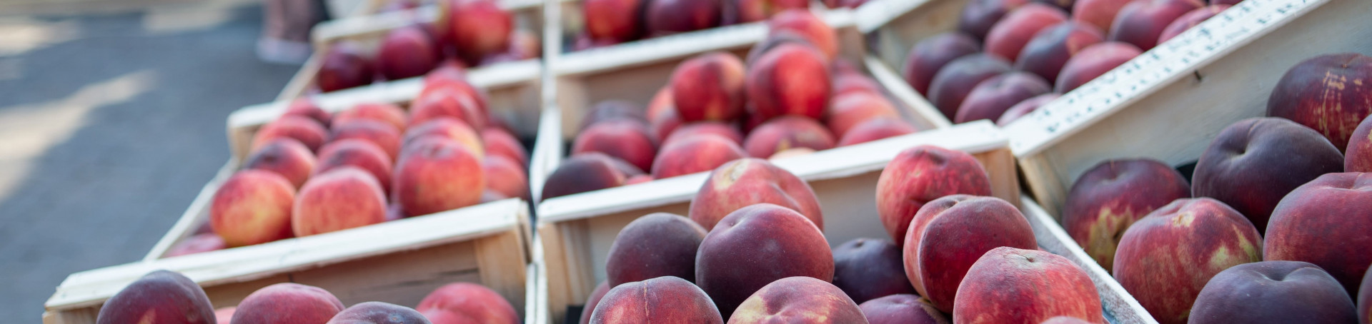 Marchés et terroir à Sète