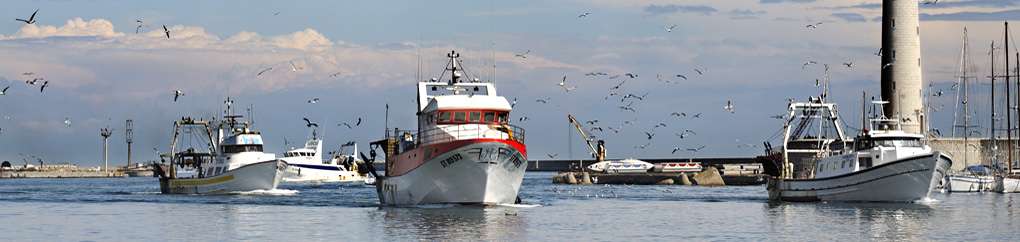 Las ostras y los mejillones de Bouziques