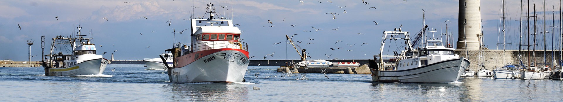 Visiter Sète - port de pêche