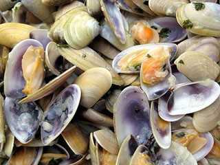 Tellines, clams and other seafood