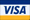 Visa credit card