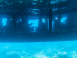 Aquarius-M_RICARD_OT-THAU-22981
