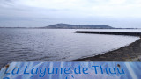 Visites commentées de Balaruc-les-Bains avec Divers Uni Vers