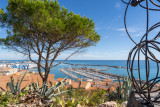 Mole Saint Louis