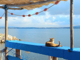 SETE GRAND TOUR SCHLAMA ARNAUD (3)