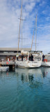 Societe nautique de Sete (65)