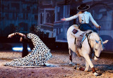 cabaret-questre-1-351517