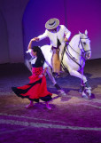 cabaret-questre-2-351518