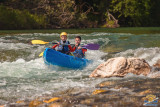 CANOE MONTANA AGENCE VIDEO COQ NOIR