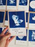 cyanotype 188