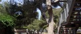 le-lazaret2-384
