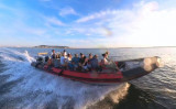 x-boat - Copie
