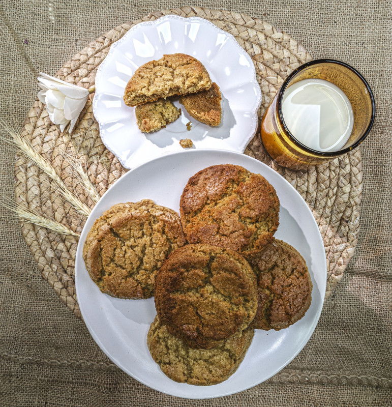 BISCUITERIE POUGET SETE MERENDA TONY (6)