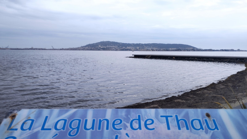 Visites commentées de Balaruc-les-Bains avec Divers Uni Vers