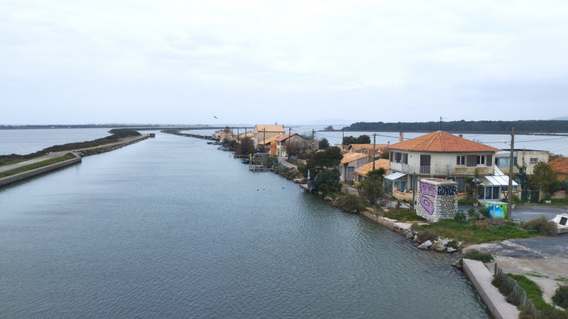 Visites commentées de Frontignan avec Divers Uni Vers