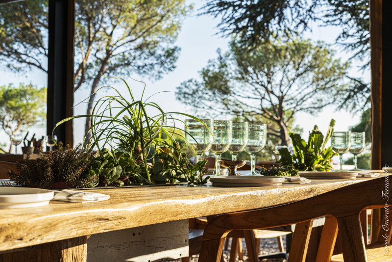 Décor nature la mesa les pierres blanches sete—4761