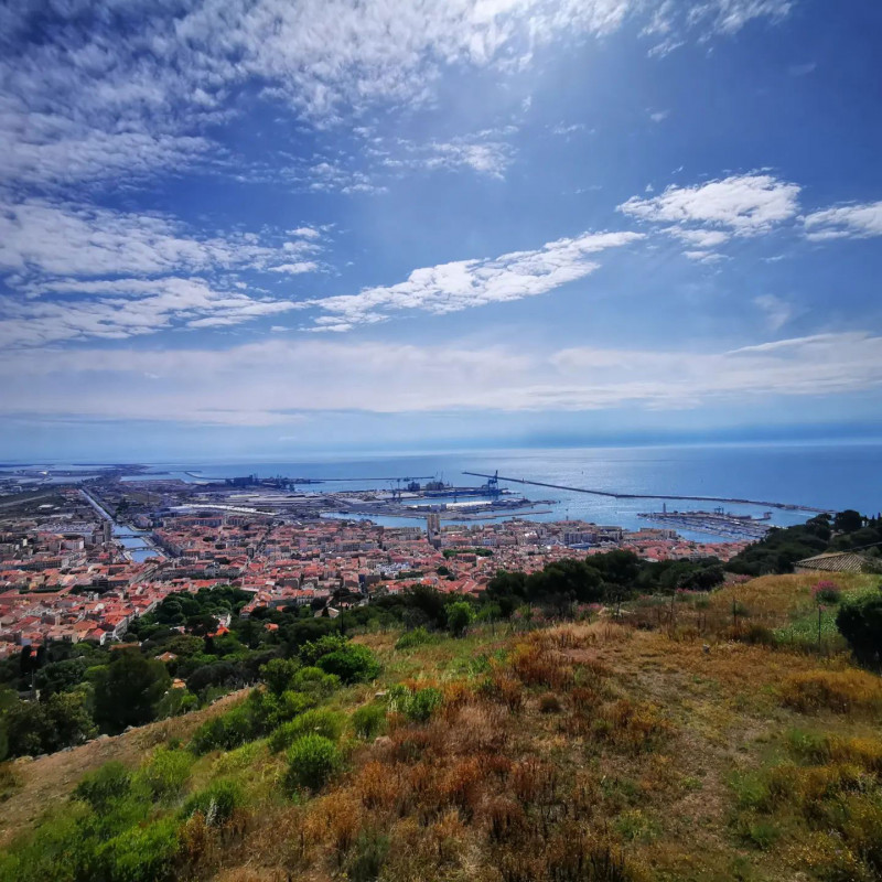 OThauBus-Tour-Sete-06
