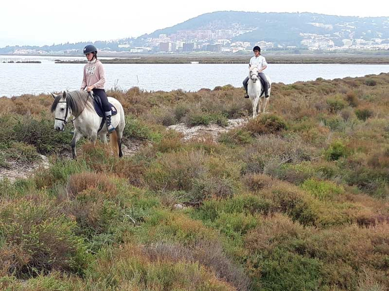 Centre equestre de Sète Balade