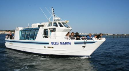 bleu-marin-77767