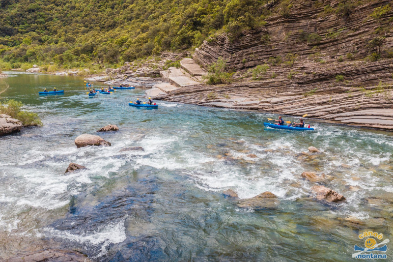 canoe-montana-agence-video-coq-noir-13-77774