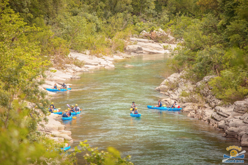 CANOE MONTANA AGENCE VIDEO COQ NOIR