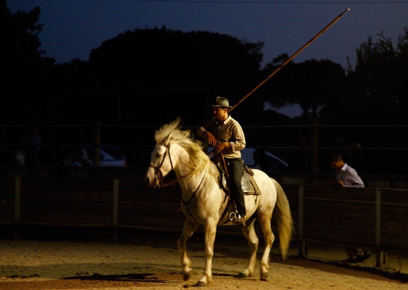 mas de la comtesse camargue aigues mortes