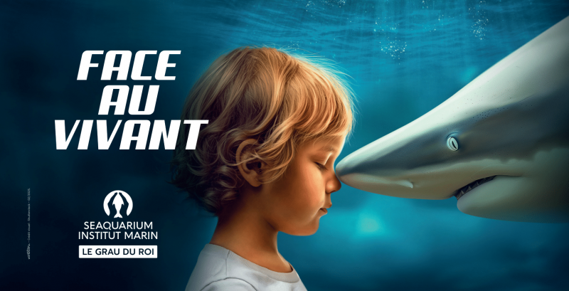 seaquarium-351574