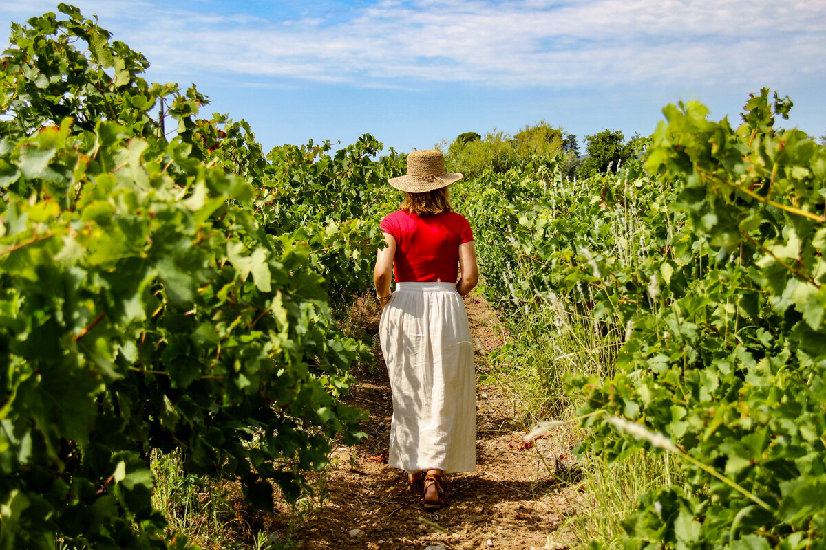 Archipel de Thau - Viticulture - © Office de tourisme Archipel de Thau