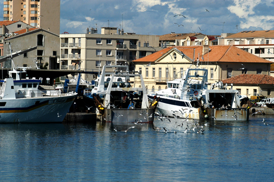 chalutiers-peche-service-co-5793122 - © Ville de Sète