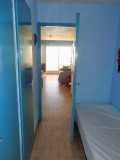 DSC03524