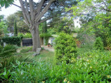 DSC00646