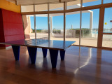 Pingpong3
