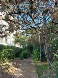Jardin4
