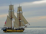 De nombreux bateaux font escales à Sète