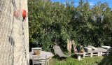 7-Cabanon_jardin