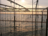 Filieres_etang