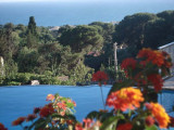 HLOLAR0340007050_10