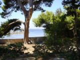 HLOLAR0340007329_6