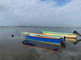 IMG_6110