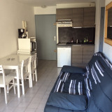 LOCATION SETE RESIDENCE LA GRANDE PINEDE DELPEY JACQUES (1)