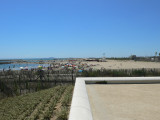 Direction les plages de Sète pour profiter des vacances. A 190 m de l'appartement