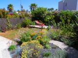 Jardin arrière