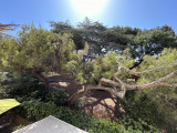 Vue_de_lappartement_(2)