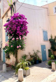 _lv_images__lot_0000000262_07_17014550