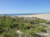 _lv_images__lot_0000002065_10_16809695
