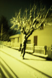 dolores-marat-l-arbre-qui-marche-if-2026-19271730