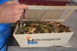 huitres-bouzigues.com