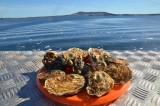 huitres-bouzigues.com