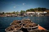 huitres-bouzigues.com